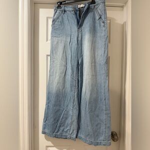 HIDDEN Light Blue Flare Wide Leg Jeans Casual Fit